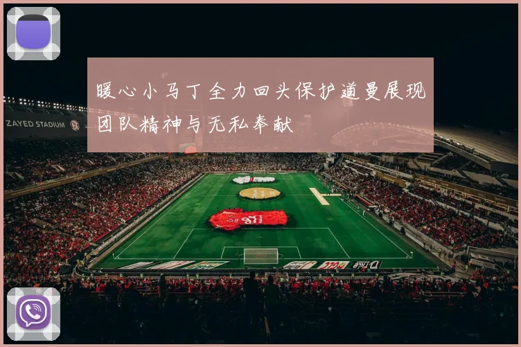暖心小马丁全力回头保护道曼展现团队精神与无私奉献
