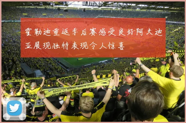 霍勒迪重返季后赛感受良好阿夫迪亚展现独特表现令人惊喜