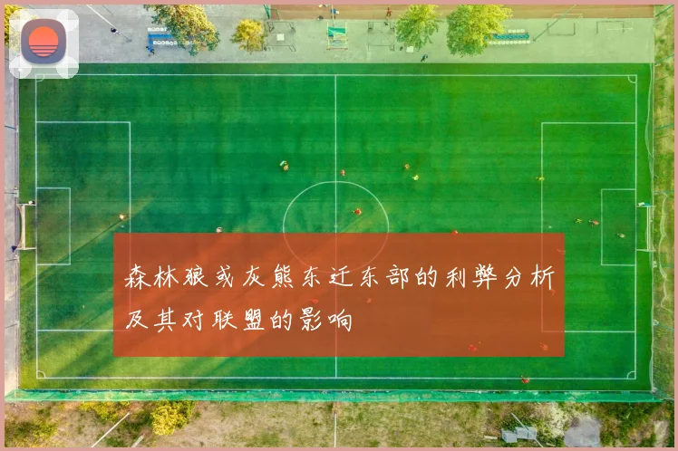 森林狼或灰熊东迁东部的利弊分析及其对联盟的影响